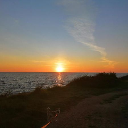 App Palcic K Apartment Novigrad  ภายนอก รูปภาพ