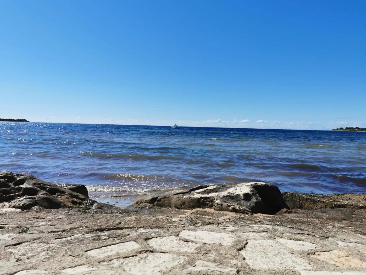 App Palcic K Apartment Novigrad  ภายนอก รูปภาพ
