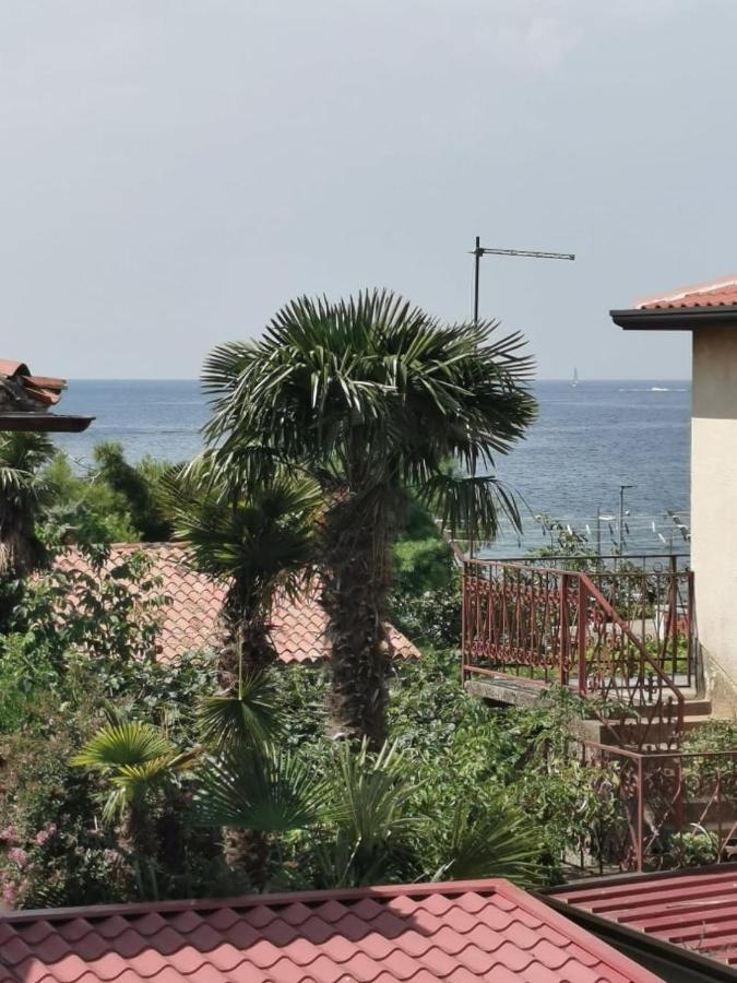 App Palcic K Apartment Novigrad  ภายนอก รูปภาพ