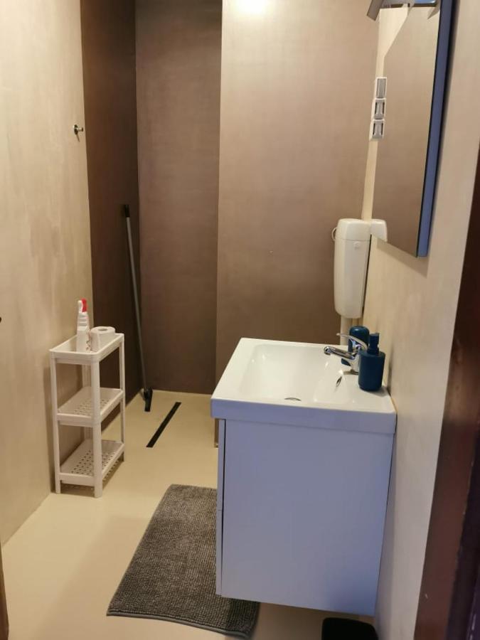 App Palcic K Apartment Novigrad  ภายนอก รูปภาพ