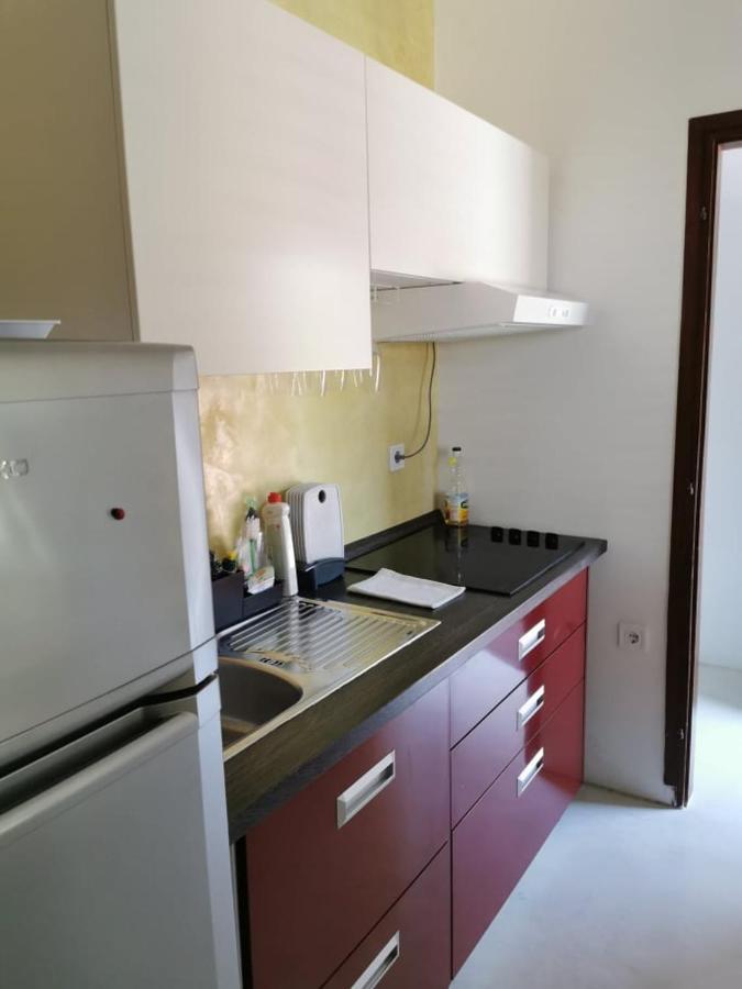 App Palcic K Apartment Novigrad  ภายนอก รูปภาพ