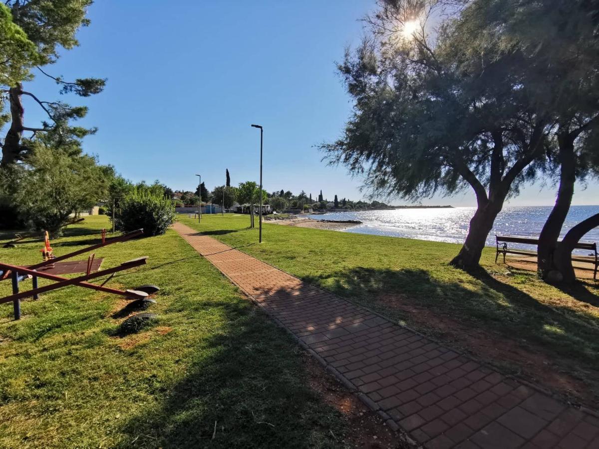 App Palcic K Apartment Novigrad  ภายนอก รูปภาพ