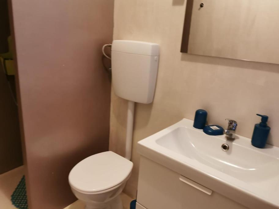 App Palcic K Apartment Novigrad  ภายนอก รูปภาพ