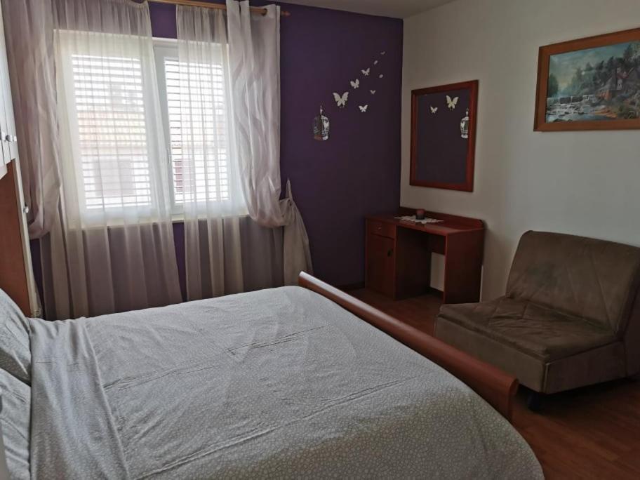 App Palcic K Apartment Novigrad  ภายนอก รูปภาพ