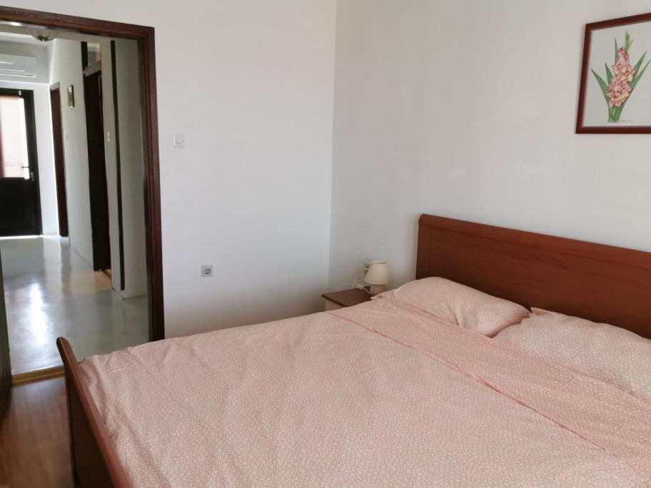 App Palcic K Apartment Novigrad  ภายนอก รูปภาพ