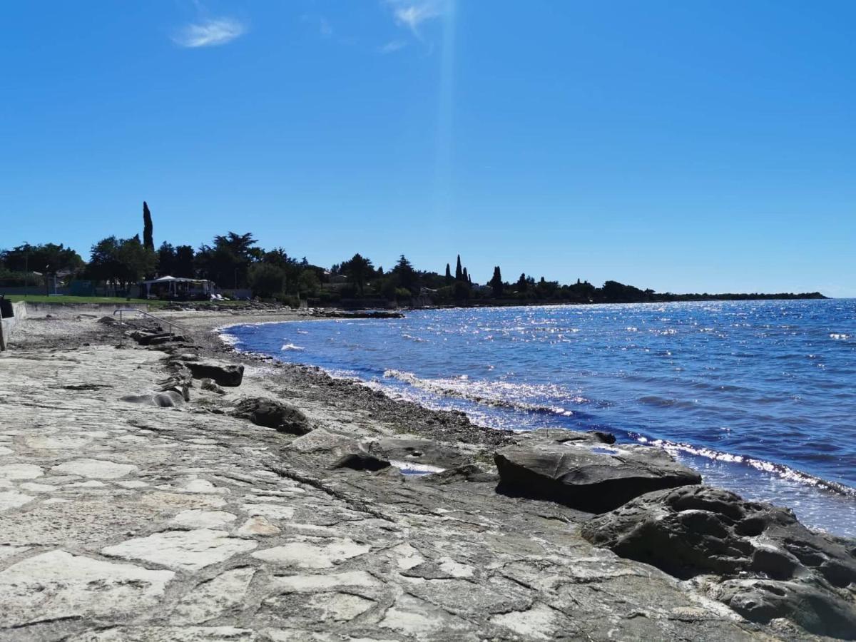 App Palcic K Apartment Novigrad  ภายนอก รูปภาพ