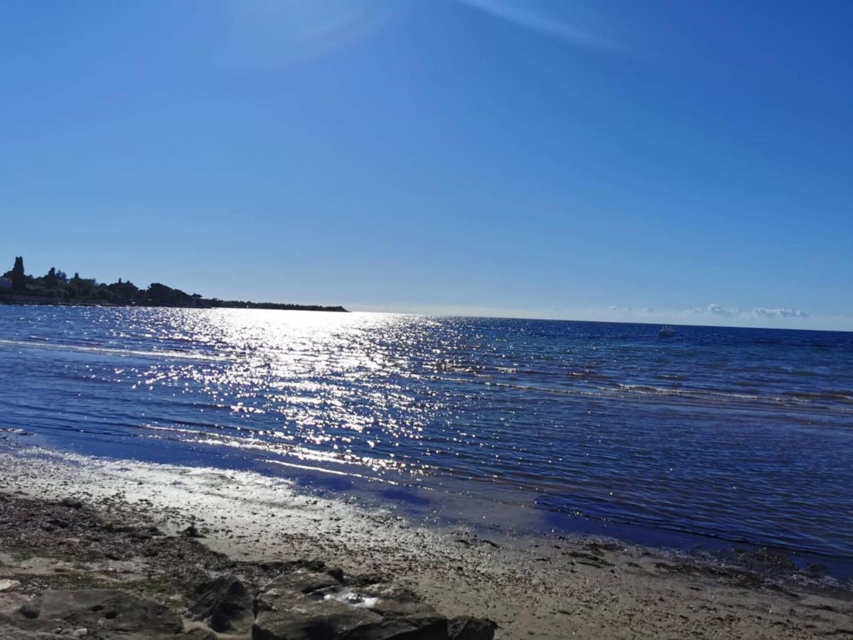 App Palcic K Apartment Novigrad  ภายนอก รูปภาพ