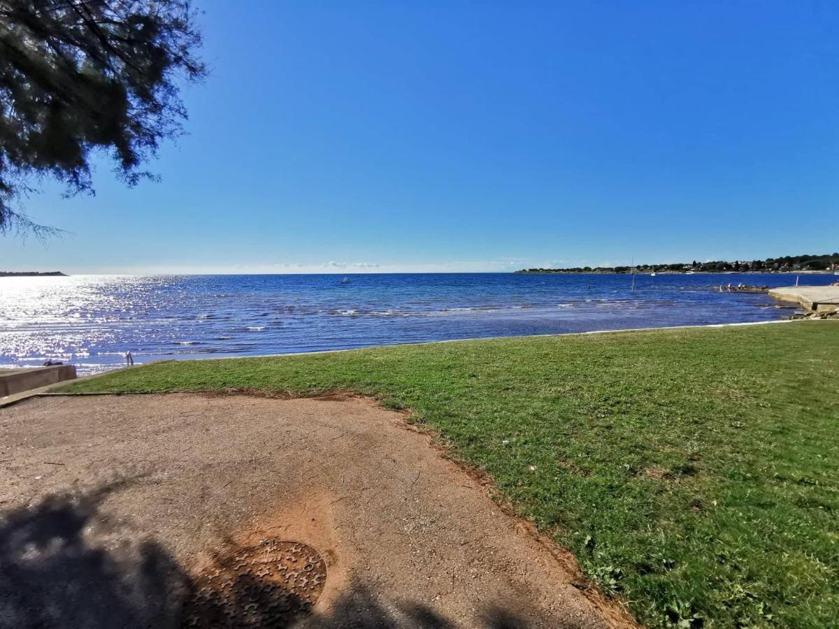 App Palcic K Apartment Novigrad  ภายนอก รูปภาพ