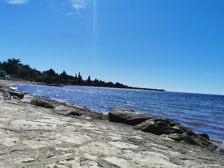App Palcic K Apartment Novigrad  ภายนอก รูปภาพ