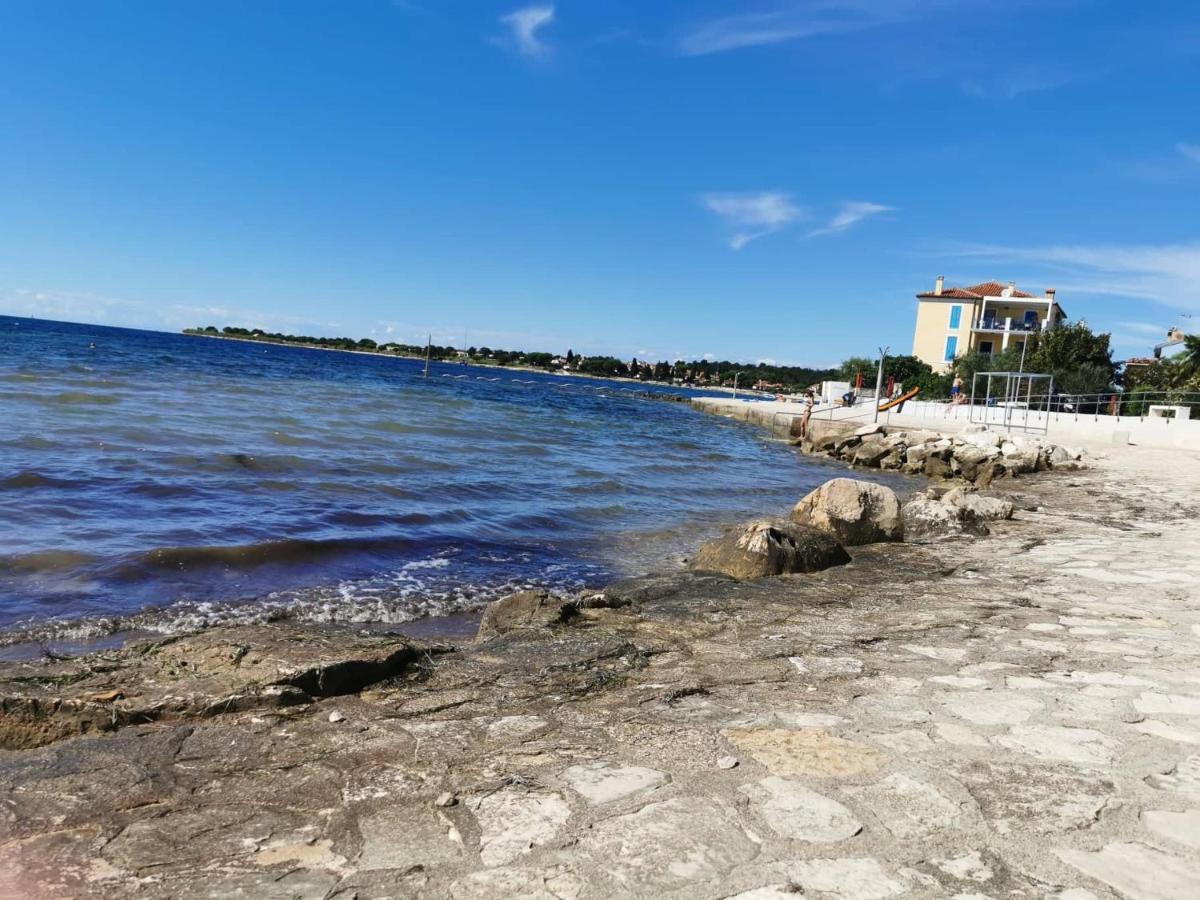 App Palcic K Apartment Novigrad  ภายนอก รูปภาพ