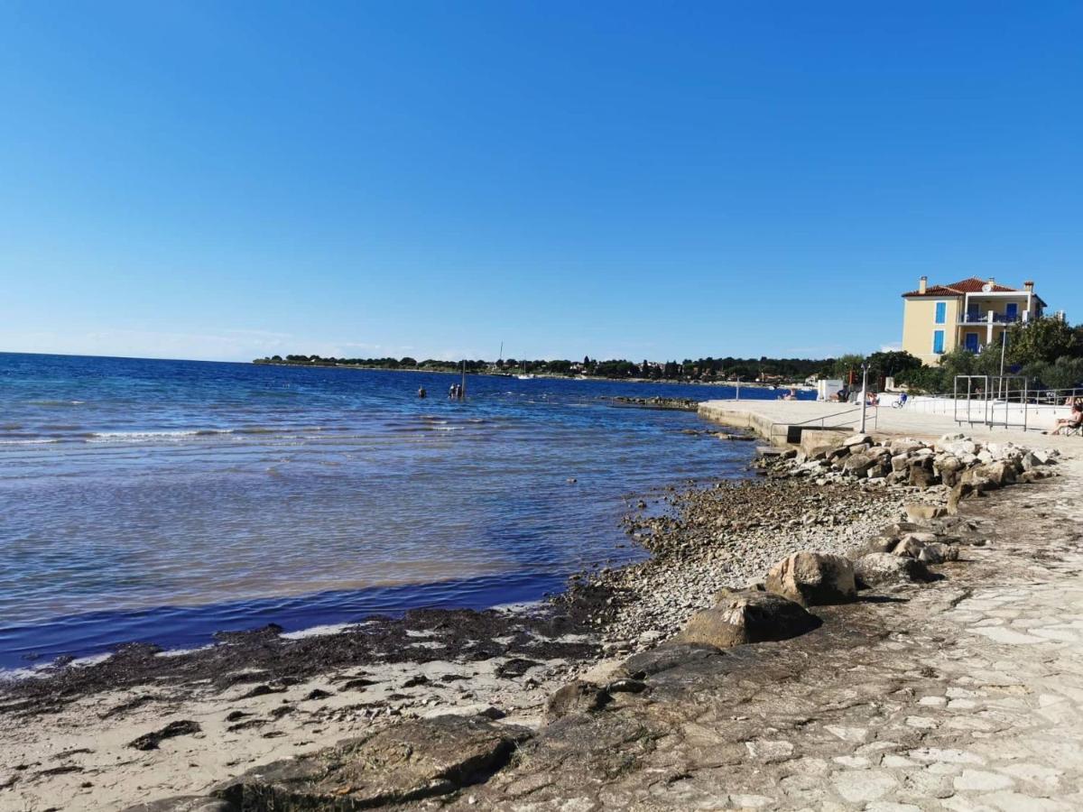 App Palcic K Apartment Novigrad  ภายนอก รูปภาพ