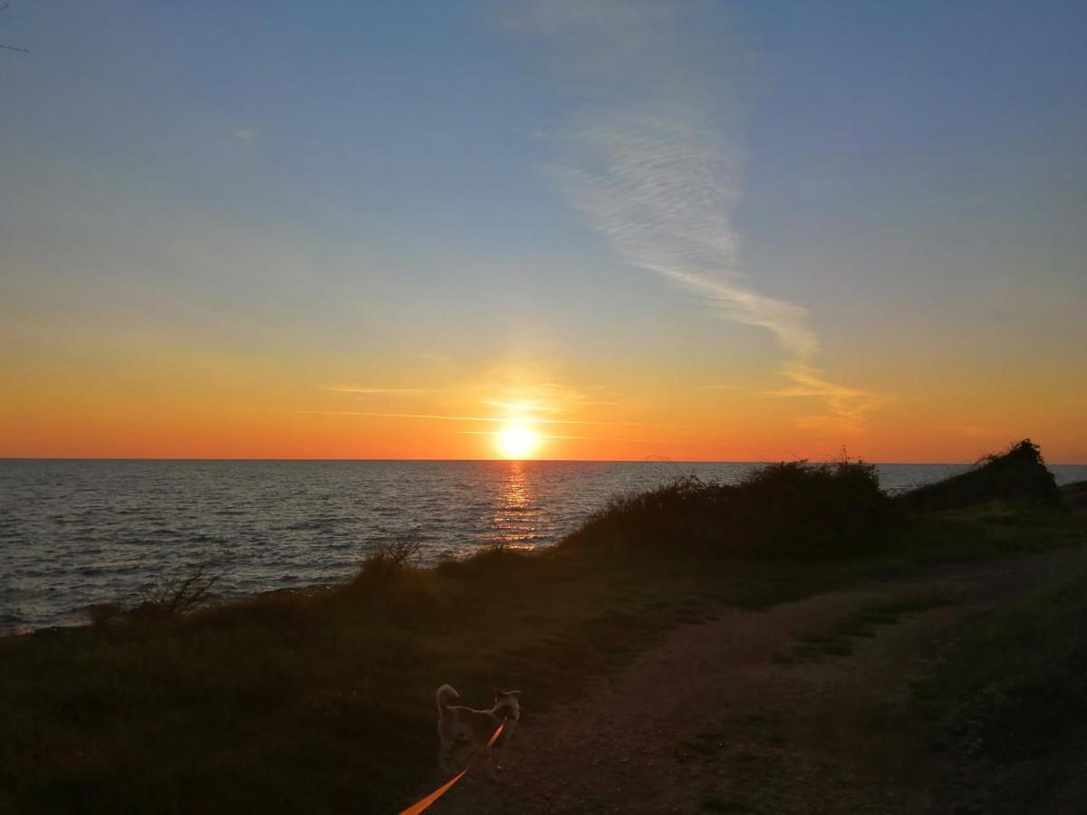 App Palcic K Apartment Novigrad  ภายนอก รูปภาพ