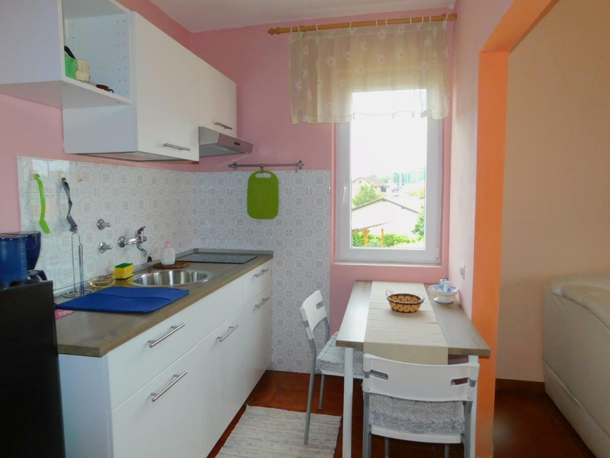 App Palcic K Apartment Novigrad  ภายนอก รูปภาพ
