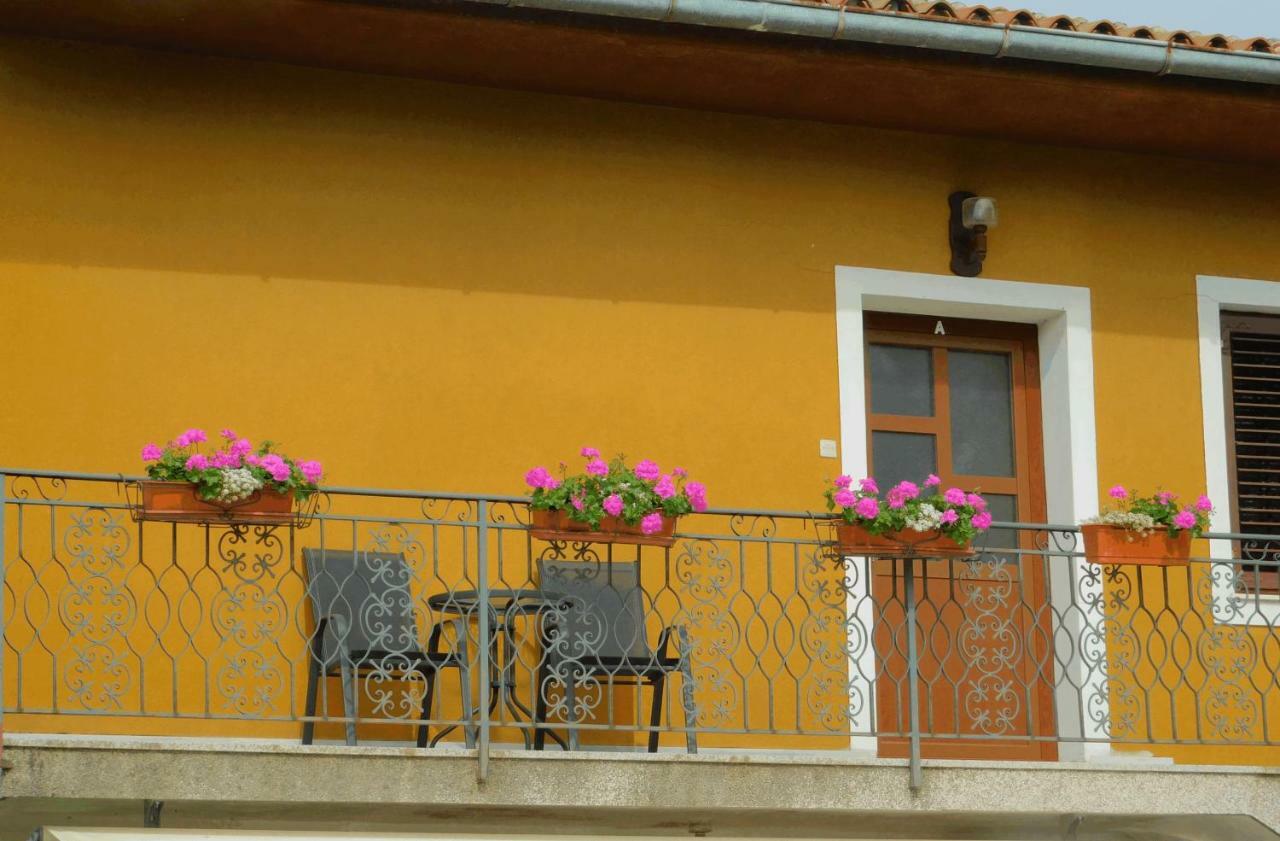 App Palcic K Apartment Novigrad  ภายนอก รูปภาพ